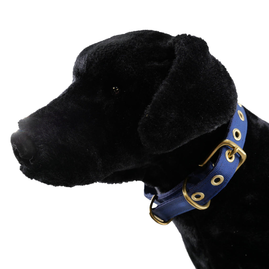 Seatbelt Dog Collar – Automotive-Grade Webbing, Brass Hardware