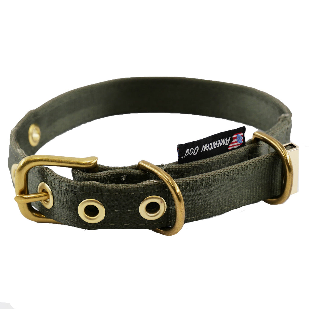Seatbelt Dog Collar – Automotive-Grade Webbing, Brass Hardware