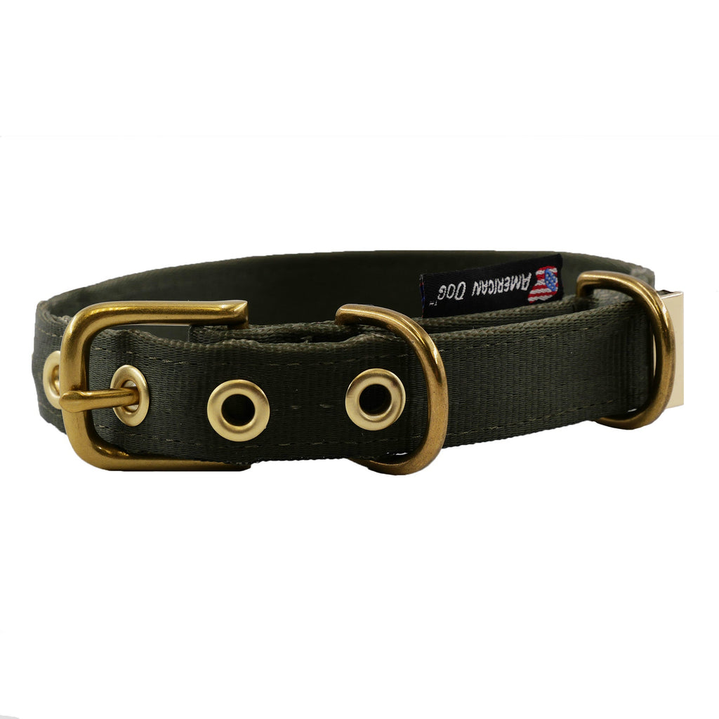 Seatbelt Dog Collar – Automotive-Grade Webbing, Brass Hardware