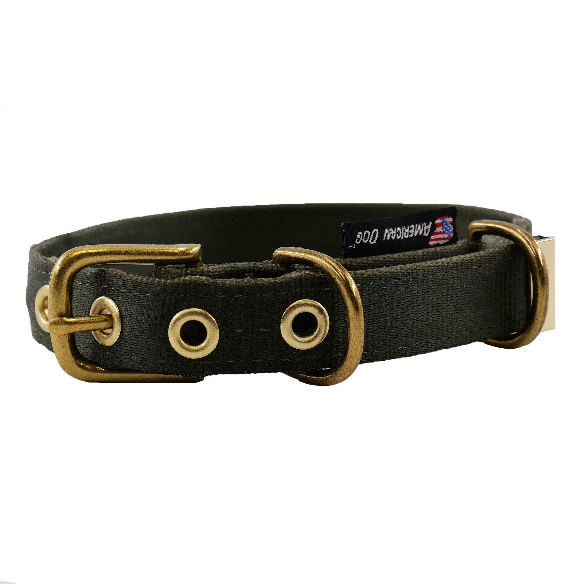 Seatbelt Dog Collar – Automotive-Grade Webbing, Brass Hardware