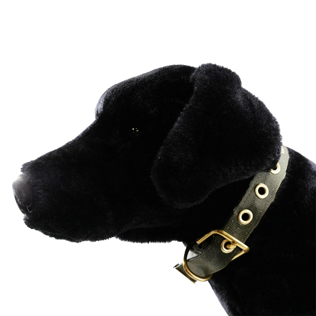 Seatbelt Dog Collar – Automotive-Grade Webbing, Brass Hardware