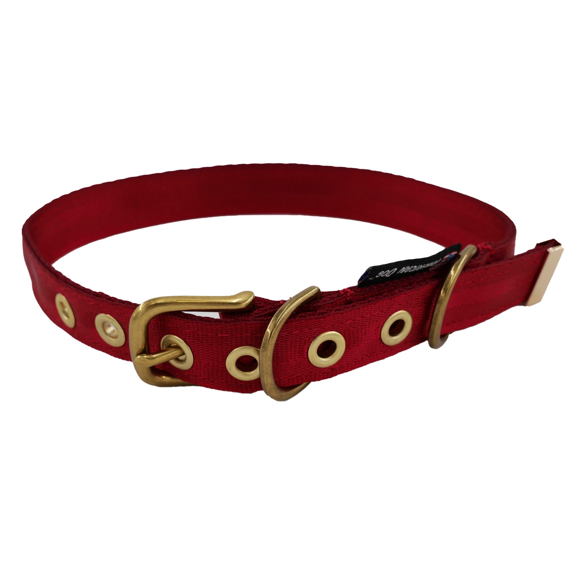 Seatbelt Dog Collar – Automotive-Grade Webbing, Brass Hardware
