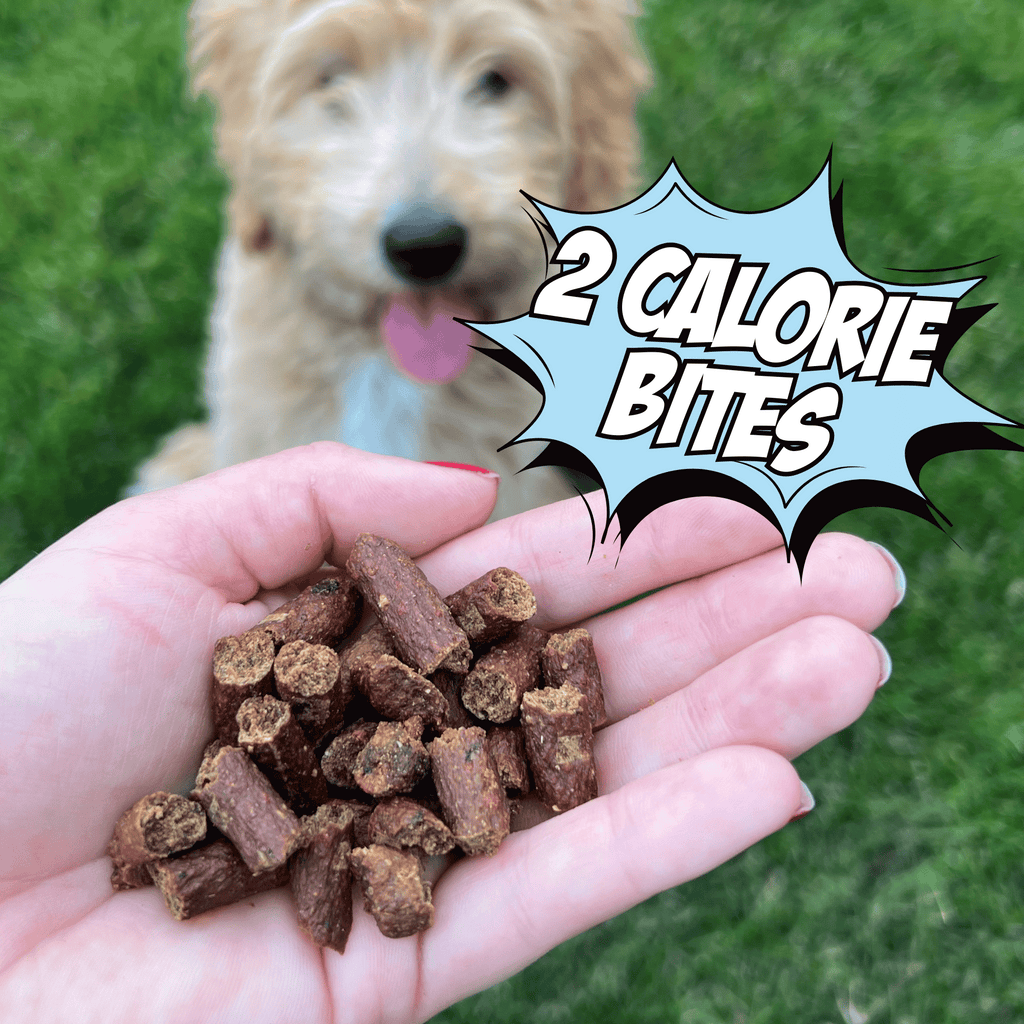 Fish Jerky and Veggie Dog Treat Bundle