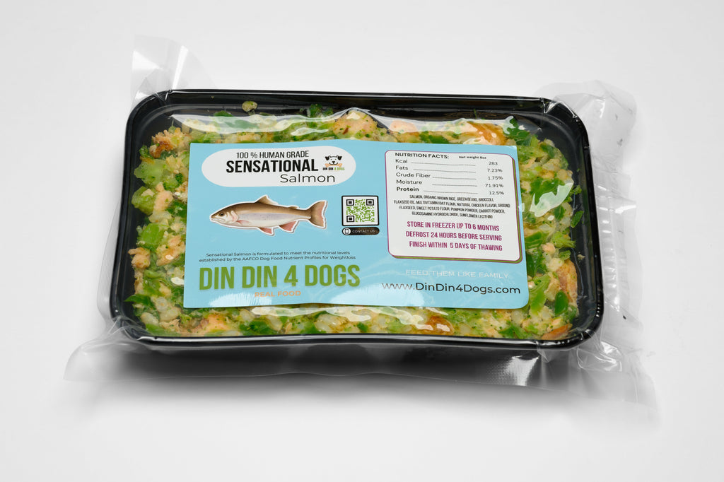Chicken and Salmon Combo Dog Food, 8oz Portion