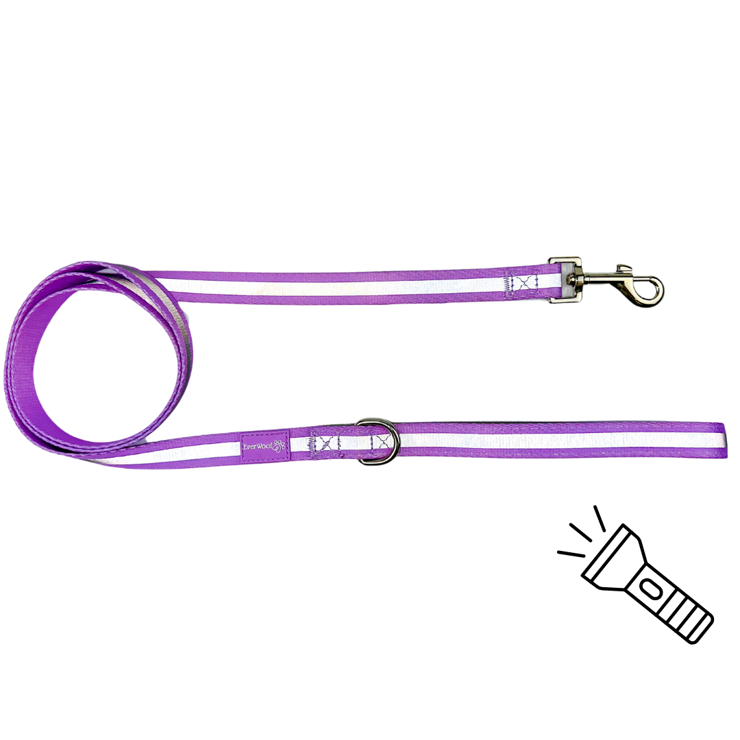 Reflective Amethyst Dog Leash with Neoprene Handle, 4'11"
