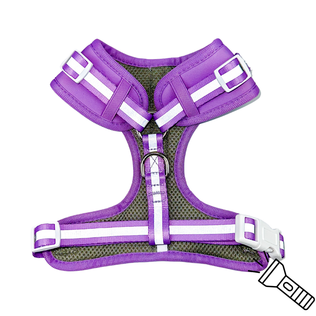 Shine Bright Amethyst Reflective Adjustable Dog Harness