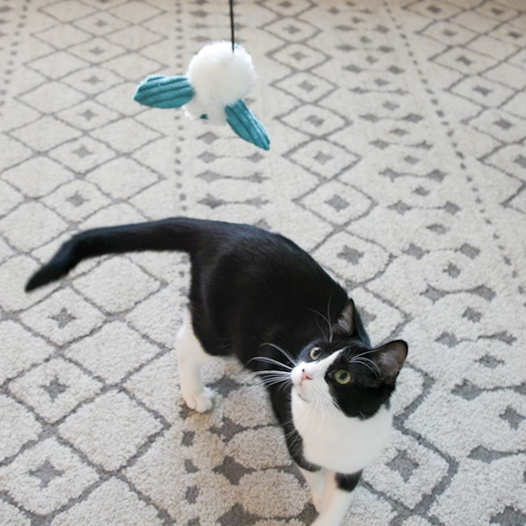 Magic Wand Cat Toy with Catnip and Rattle