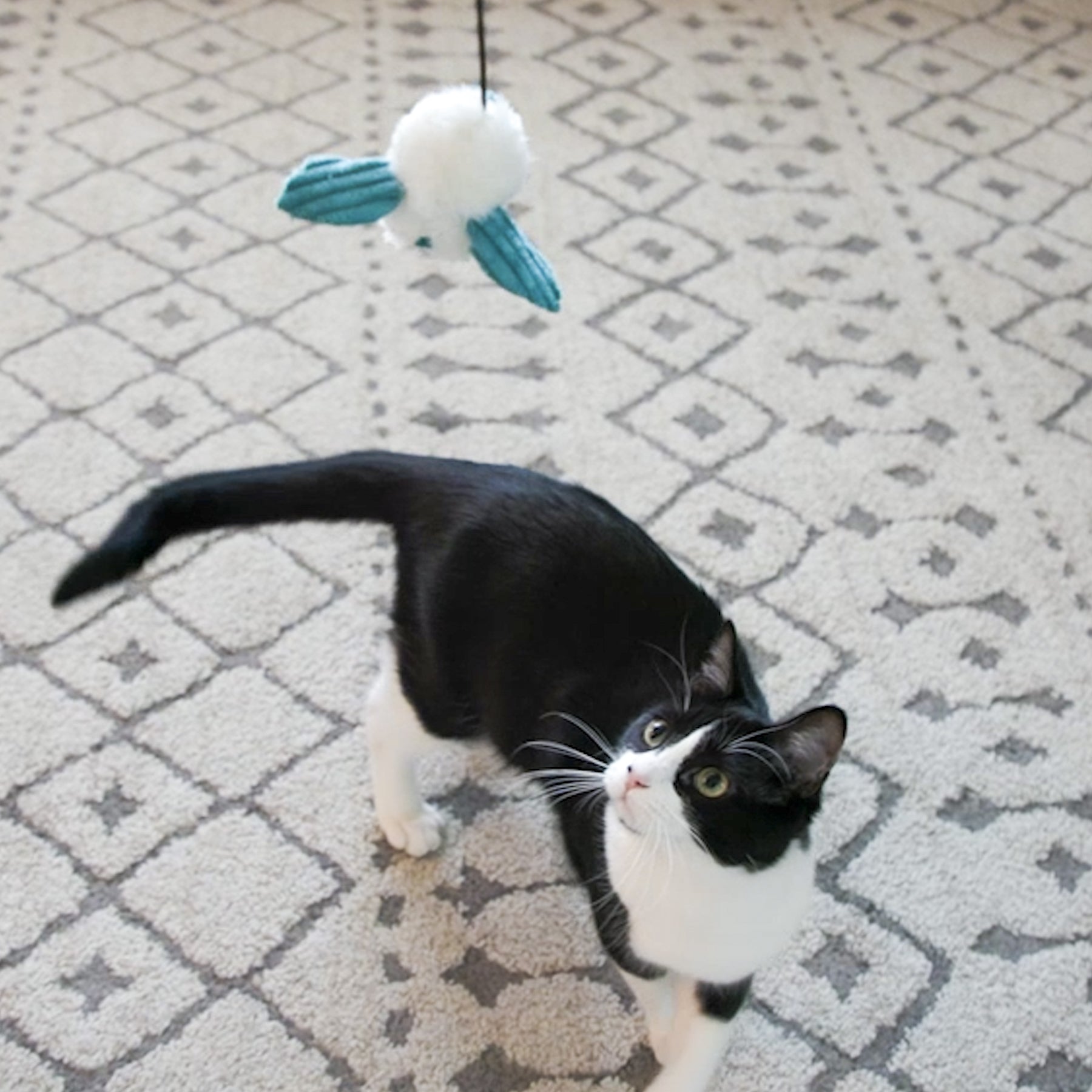 Magic Wand Cat Toy with Catnip and Rattle