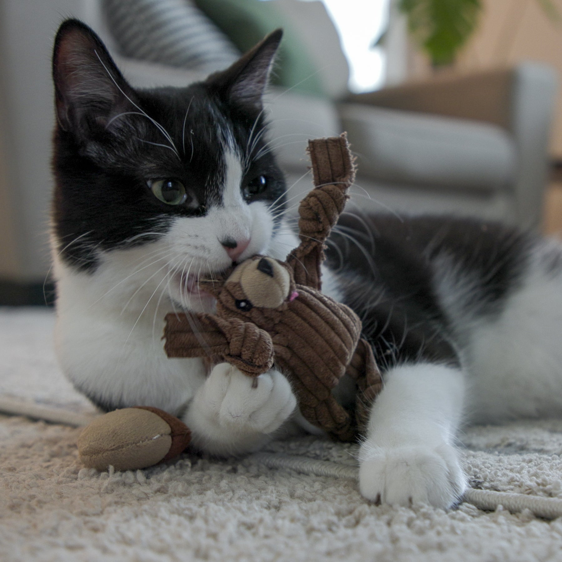 Hunter's Delight Cat Toy Collection – Prey-Inspired Assortment