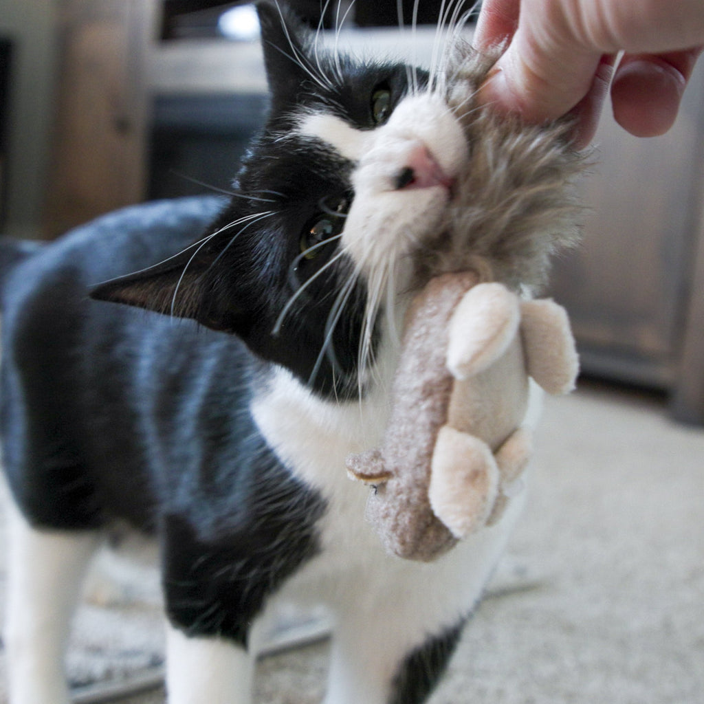 Wee Feller Squirrelie & Friends Catnip Cat Toys Collection