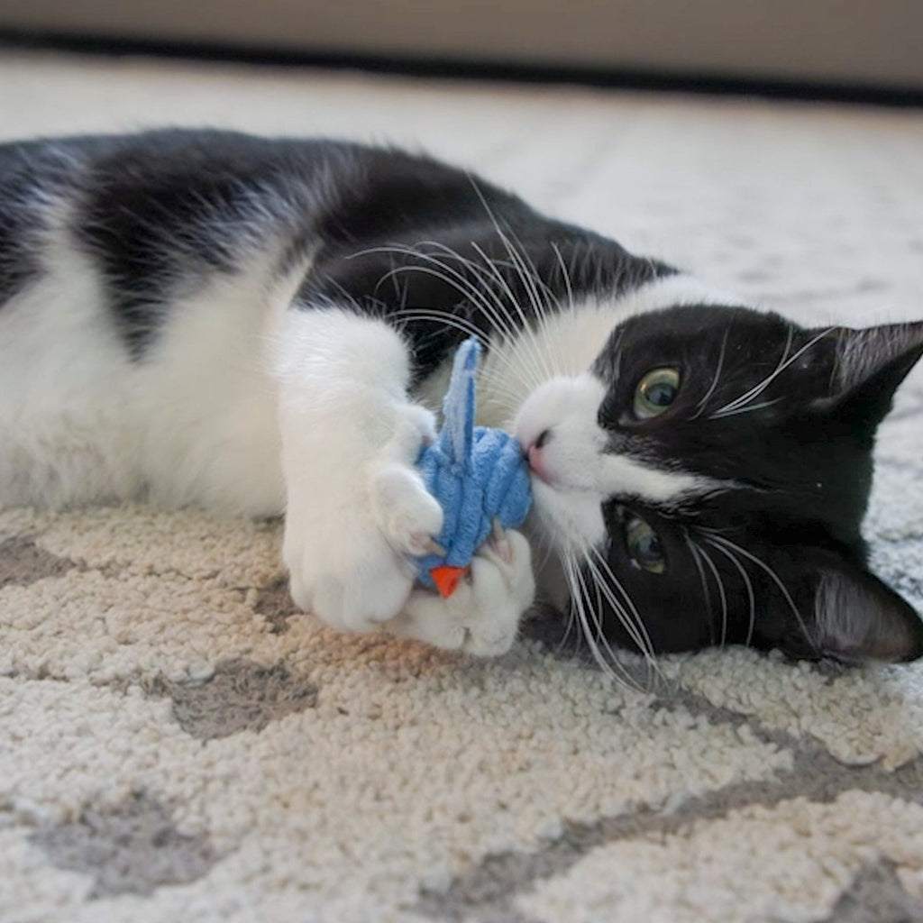 Chickies Catnip Cat Toy with Glitter Wings and Strings