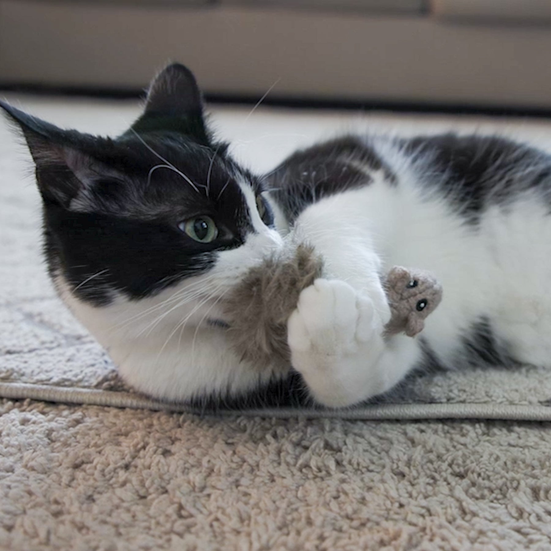 Wee Feller Squirrelie & Friends Catnip Cat Toys Collection