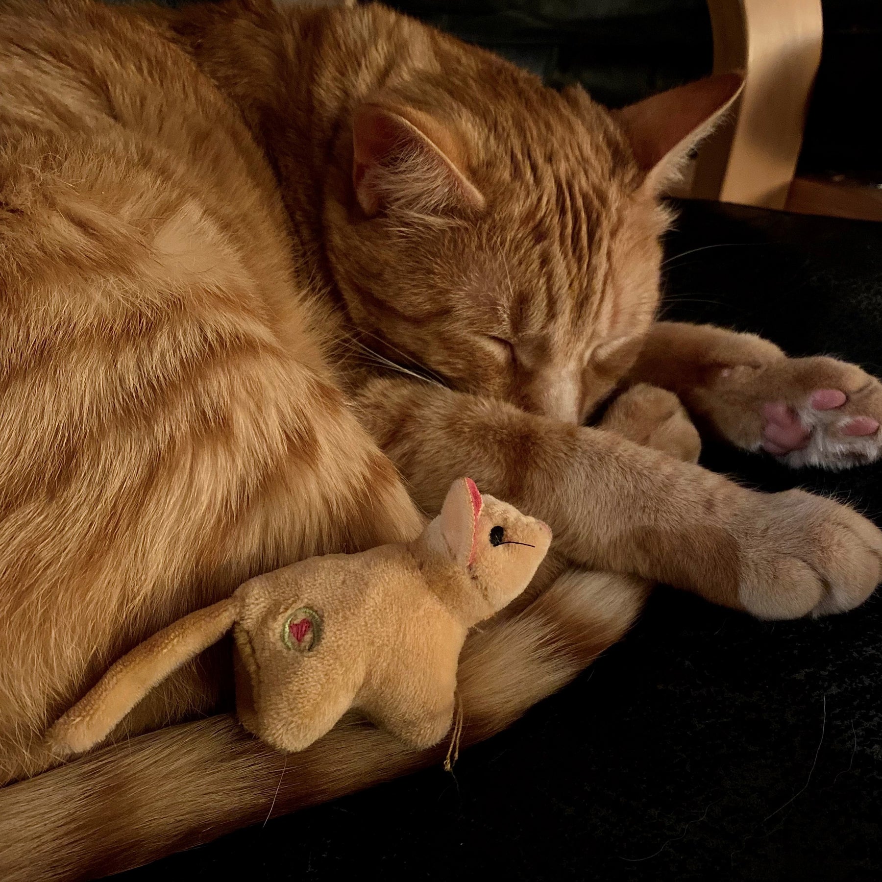 HuntieBuddies Cat Toys – Prey-Inspired, Catnip-Infused Variety
