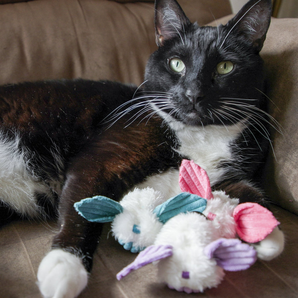 Magic Wand Cat Toy with Catnip and Rattle