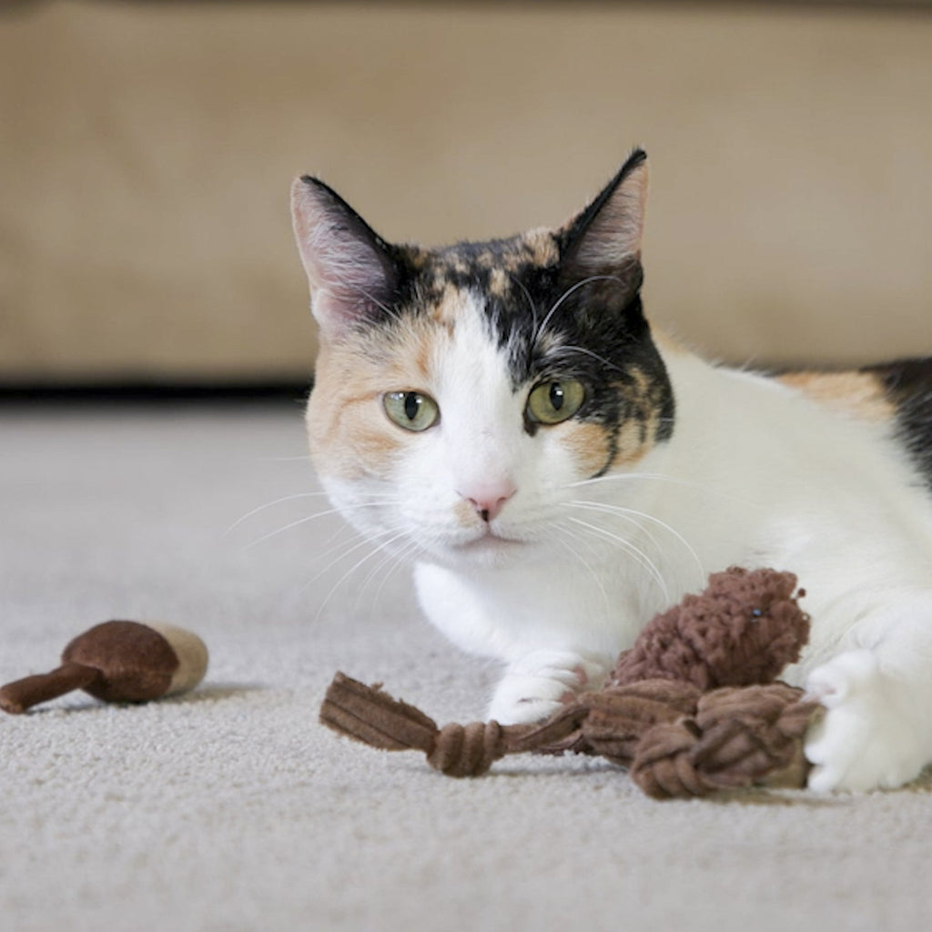 Hunter's Delight Cat Toy Collection – Prey-Inspired Assortment