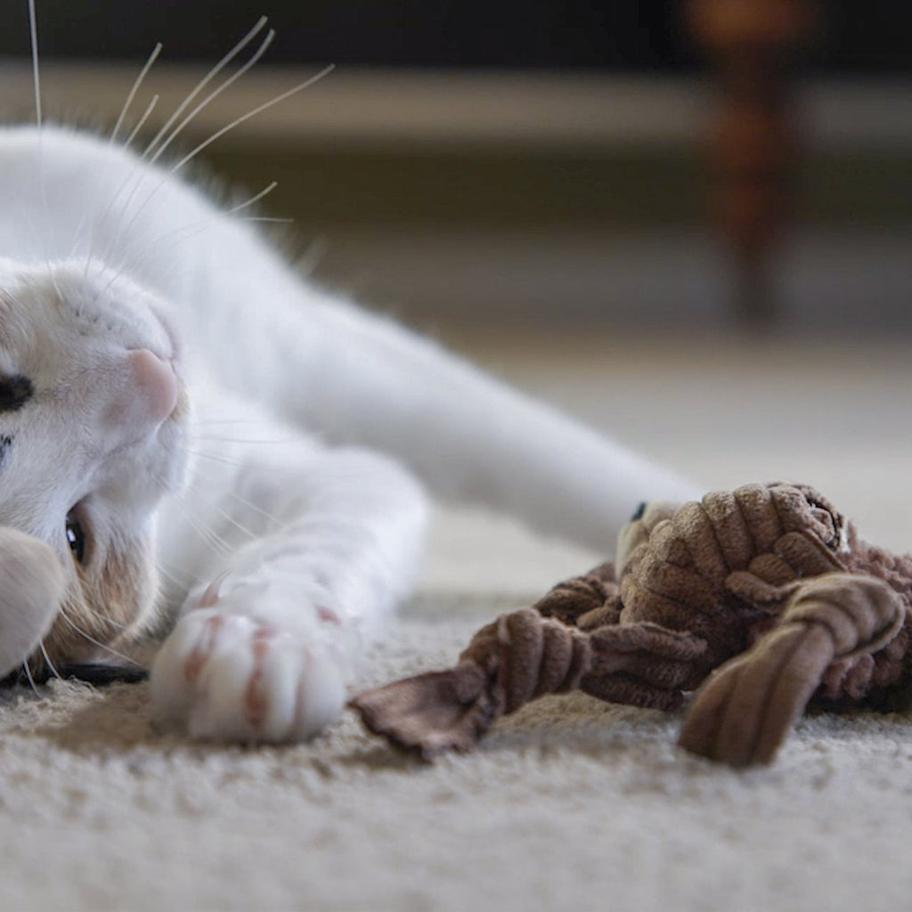 Hunter's Delight Cat Toy Collection – Prey-Inspired Assortment