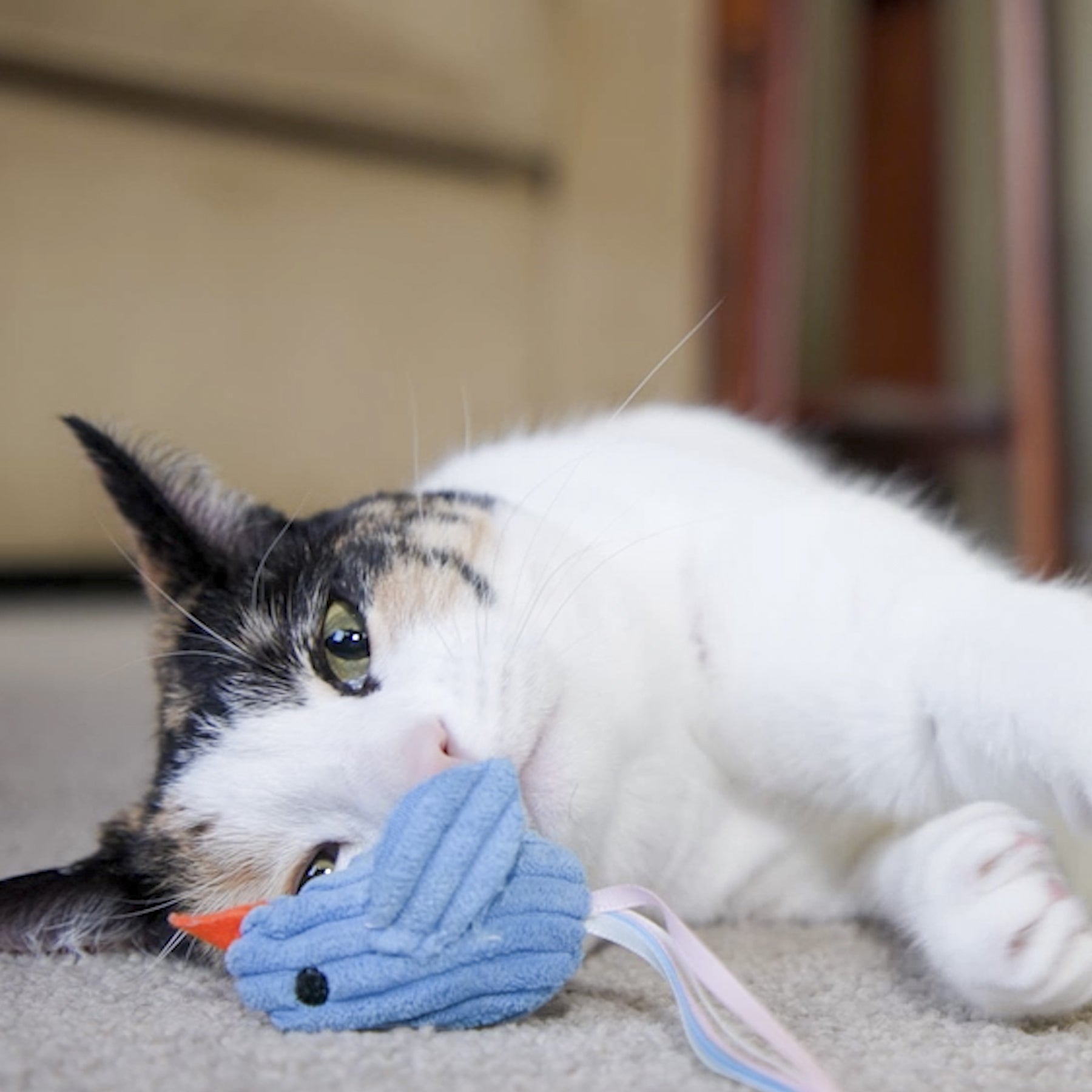 Chickies Catnip Cat Toy with Glitter Wings and Strings