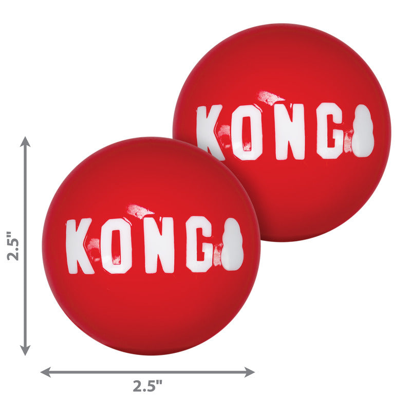 KONG Signature Ball Durable Fetch Toy for Dogs