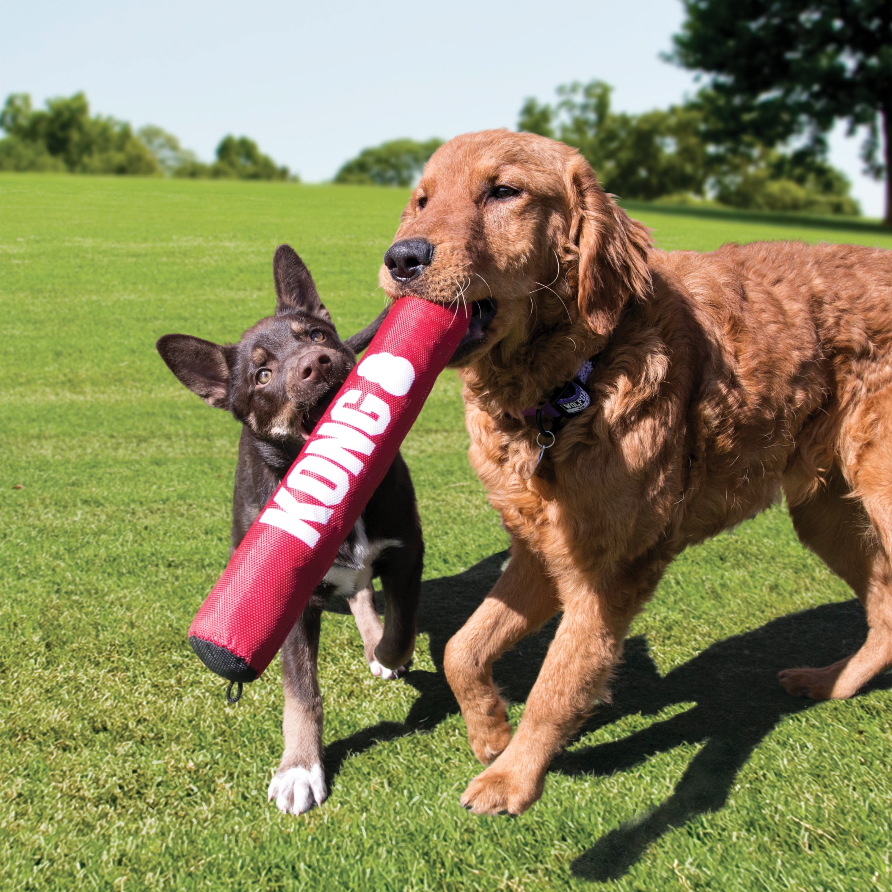 KONG Signature Stick Durable Dog Toy with Multiple Sounds