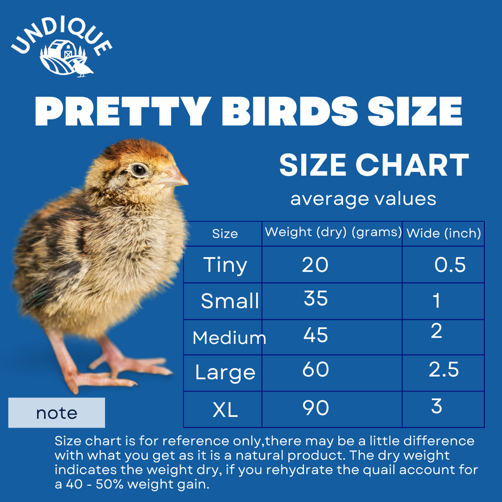 Bird Dog Training Quail - Premium Freeze-Dried Whole Quail for Dogs 5ct, Large (Chick) - Natural Prey Feeding Quality Protein Pet Treats