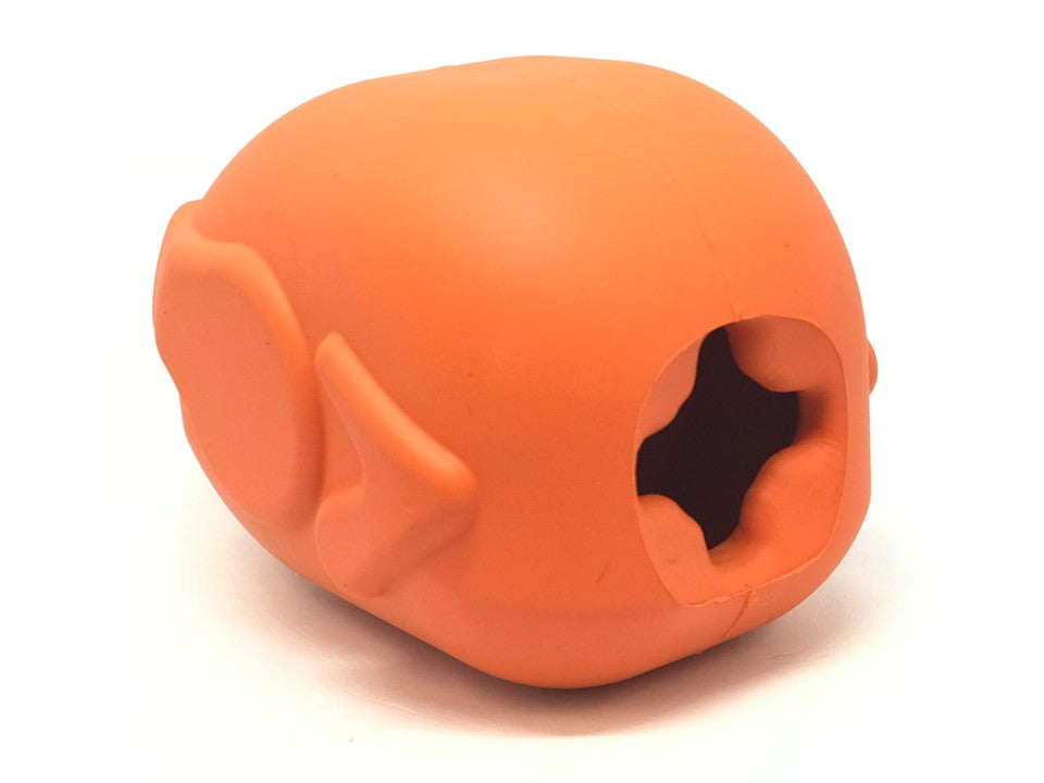 Roasted Turkey Dog Chew Toy & Treat Dispenser for Large Dogs