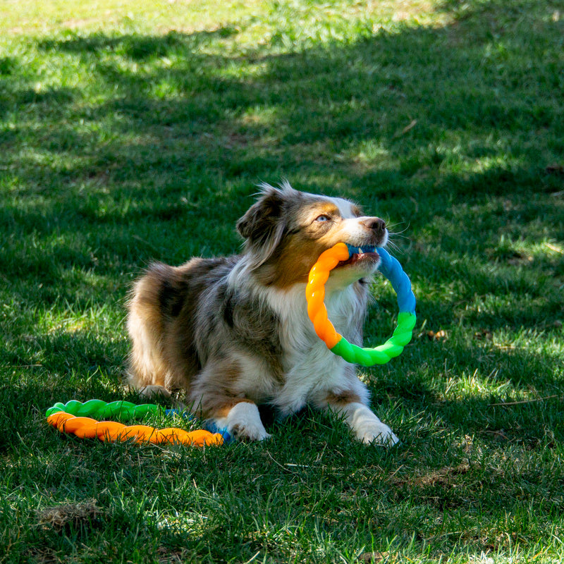 KONG Twistz High-Viz Glow-in-the-Dark Dog Ring Toy