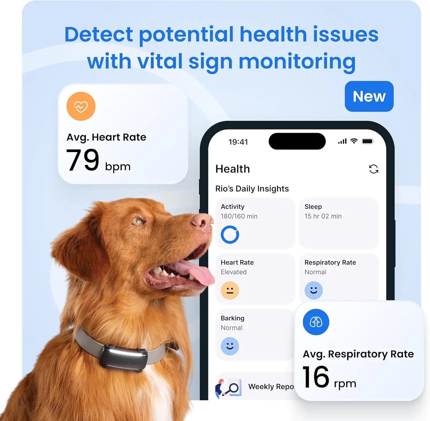 Smart GPS Dog Tracker with Health Monitoring – Black, for Dogs 8 lbs+