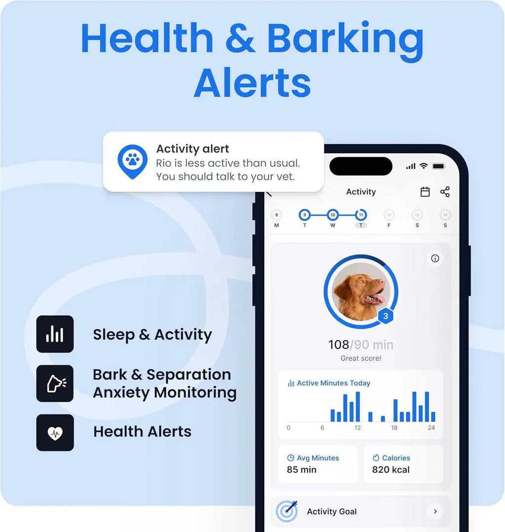 Smart GPS Dog Tracker with Health Monitoring – Black, for Dogs 8 lbs+