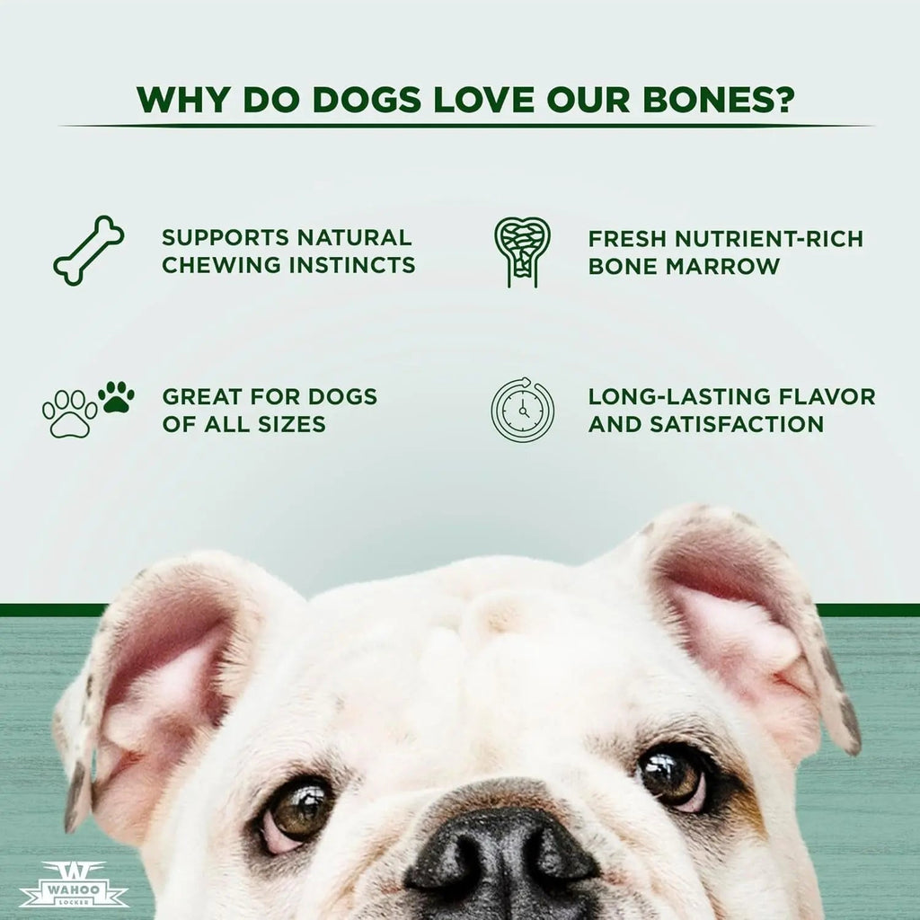 Hickory Smoked Beef Bones for Dogs, 1.5" (4 Pack)