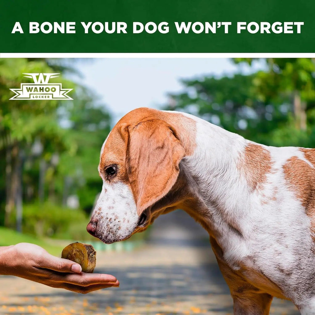 Hickory Smoked Beef Bones for Dogs, 1.5" (4 Pack)