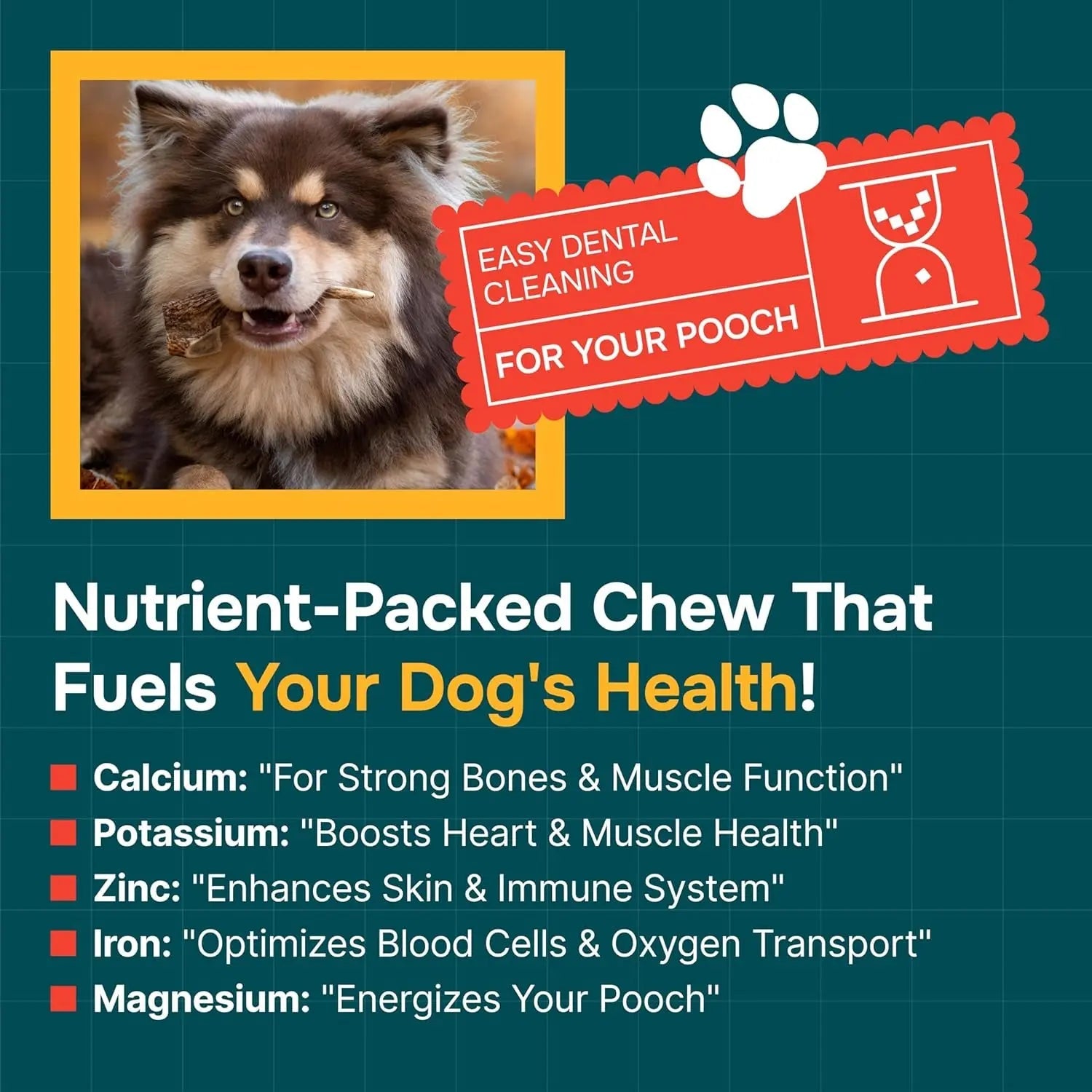 Split Elk Antler Chew for Small and Medium Dogs
