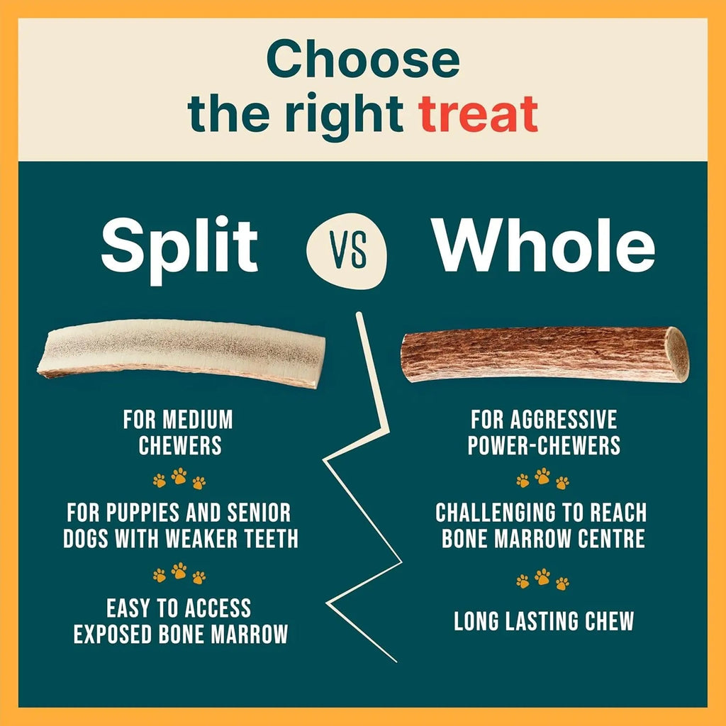 Split Elk Antler Chew for Small and Medium Dogs