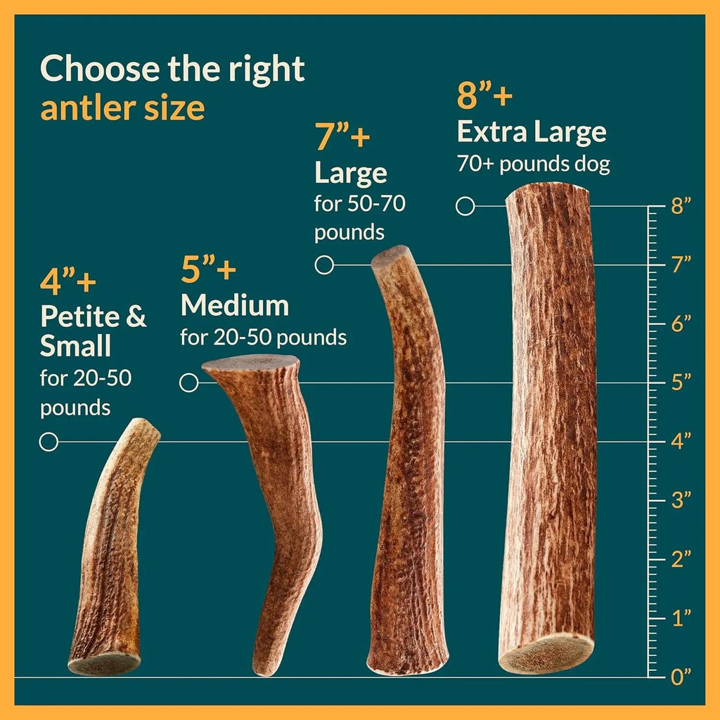 Split Elk Antler Chew for Small and Medium Dogs