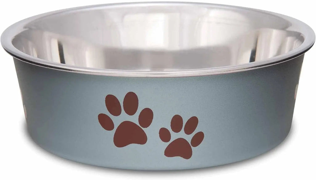 Stainless Steel Dog & Cat Bowl | Spill-Resistant Feeding Bowl (various colors)