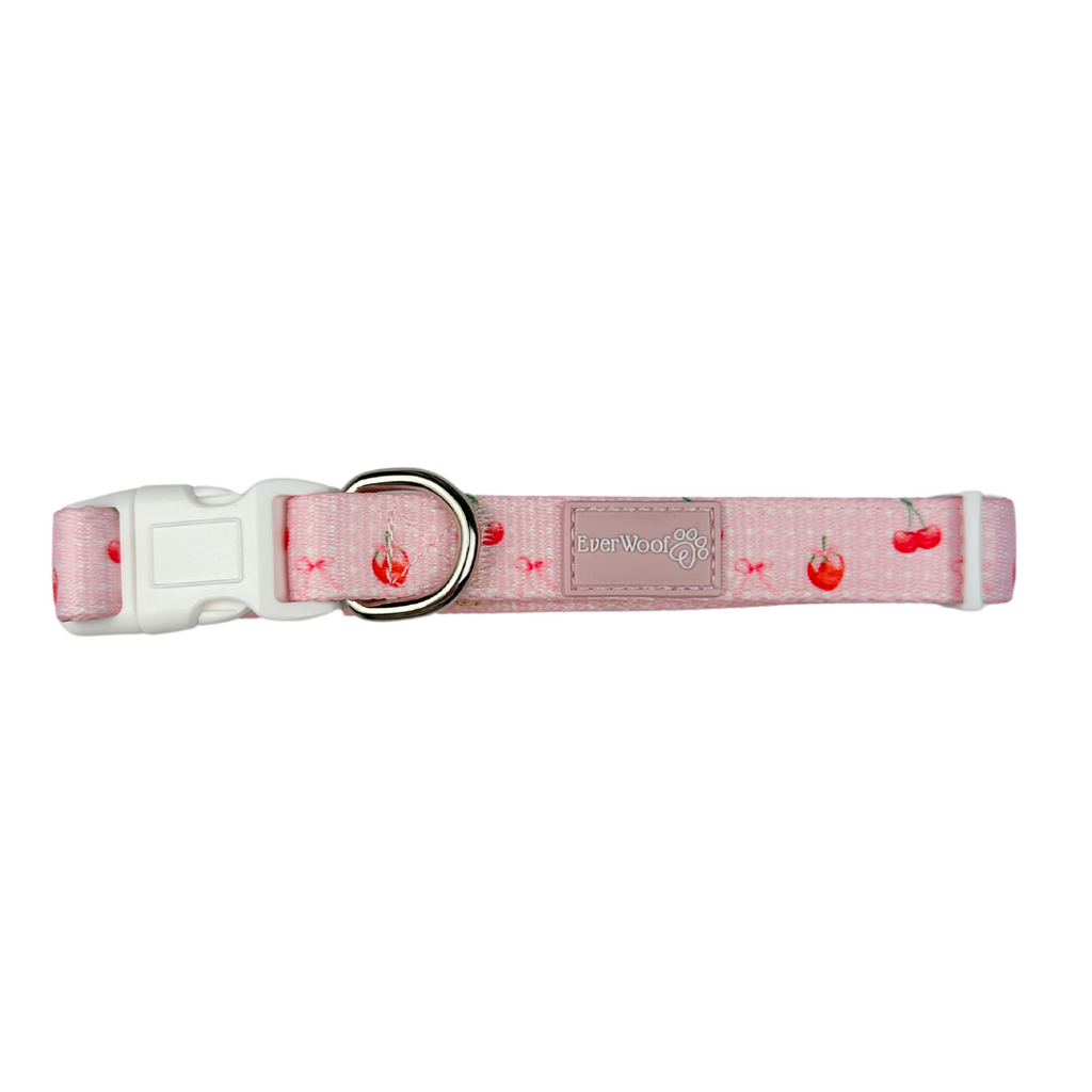 Sweet Chérie Adjustable Dog Collar with Neoprene Padding