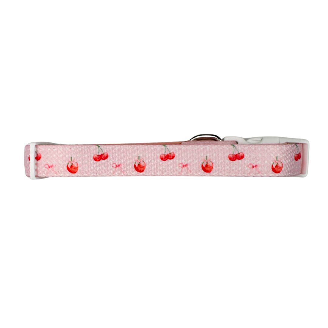 Sweet Chérie Adjustable Dog Collar with Neoprene Padding