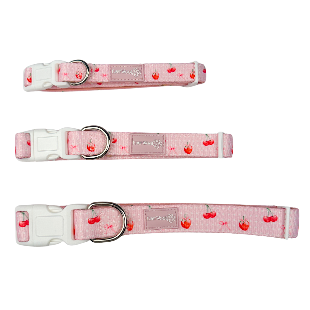 Sweet Chérie Adjustable Dog Collar with Neoprene Padding