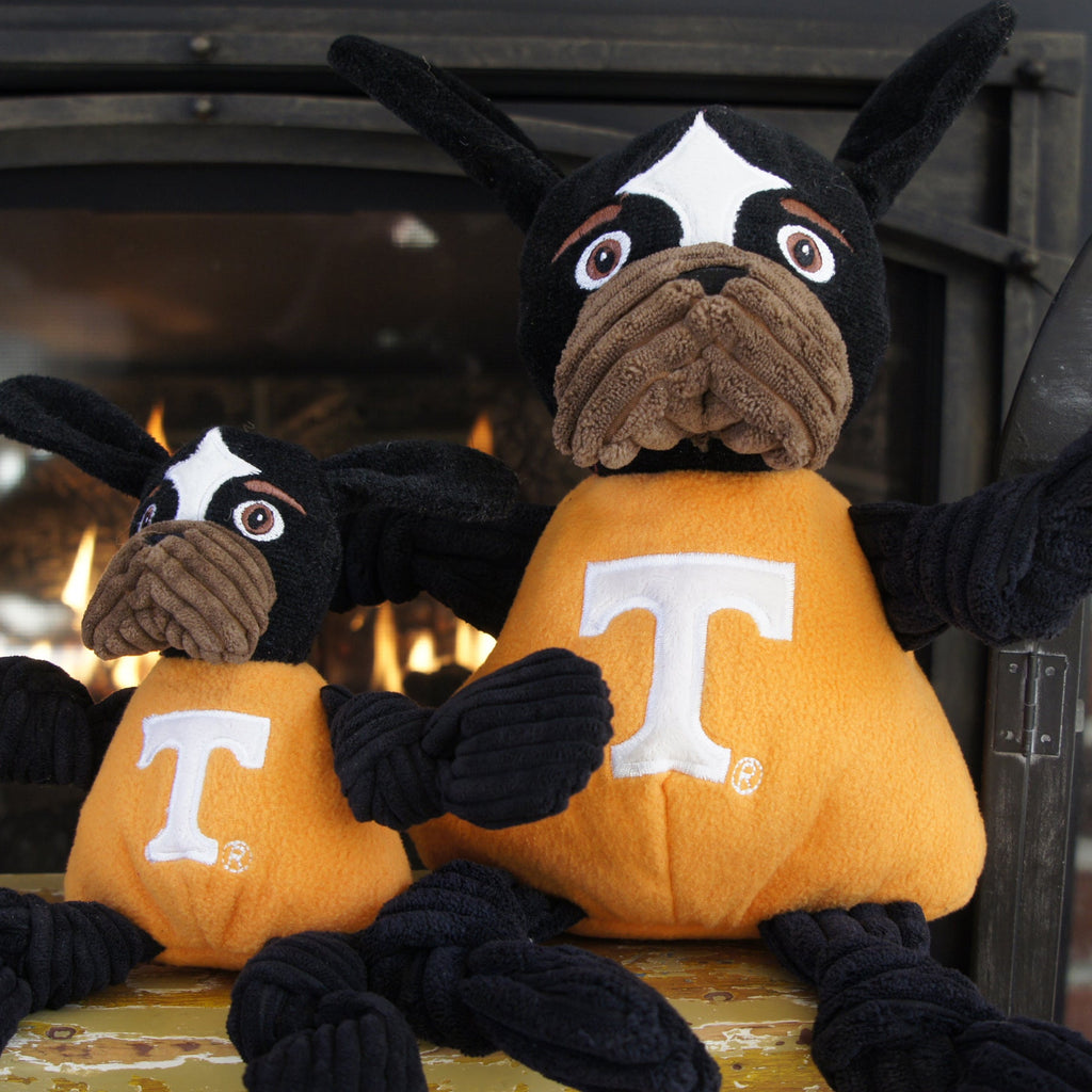 Smokey the Volunteer Mascot Plush Dog Toy – Tennessee NCAA
