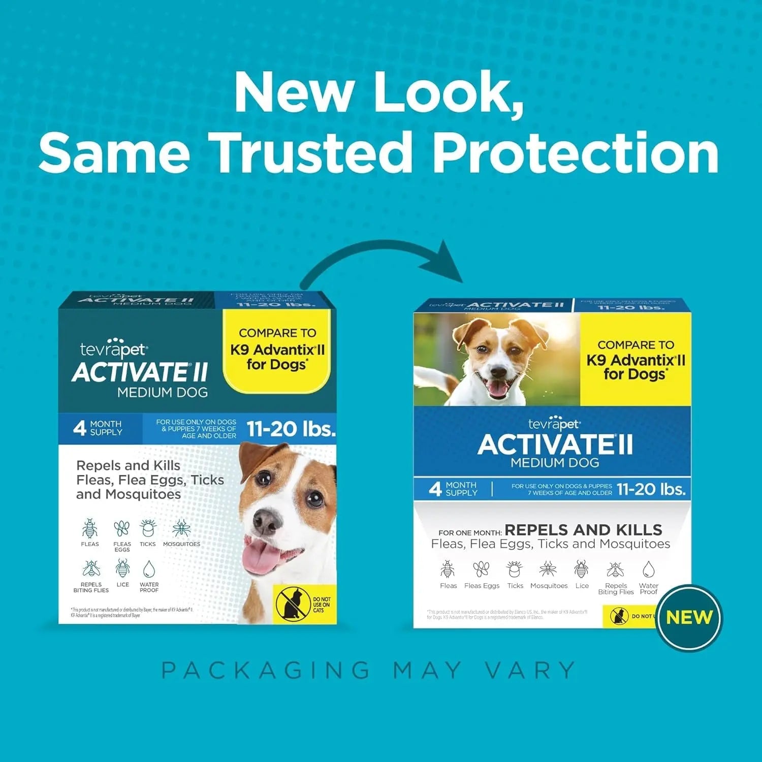 TevraPet Activate II Flea & Tick for Dogs 11–20 lbs – 4 Month Supply
