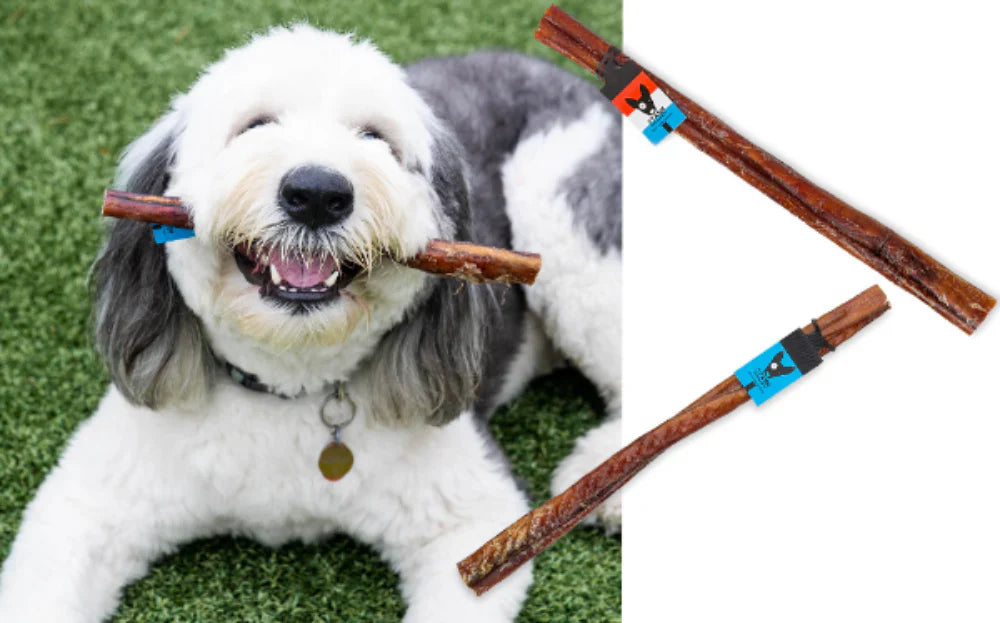 Monster Bully Stick for Dogs – Thick, Long-Lasting Chew