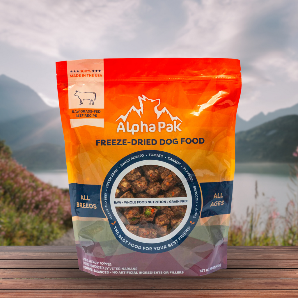 Raw Grain-Free Dog Food with Grass-Fed Beef and Organs