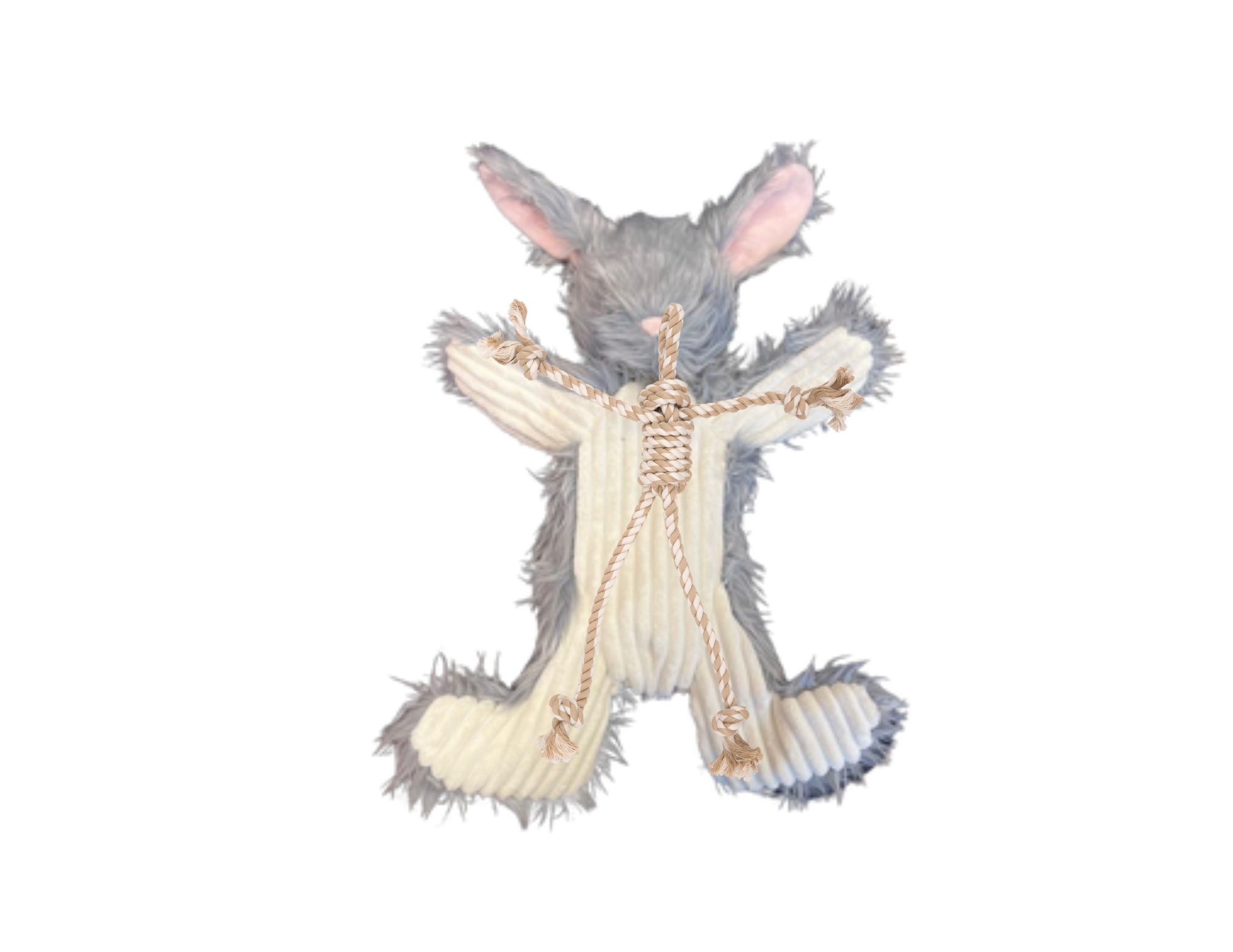 Birch Bunny Plush Dog Toy, 19-Inch