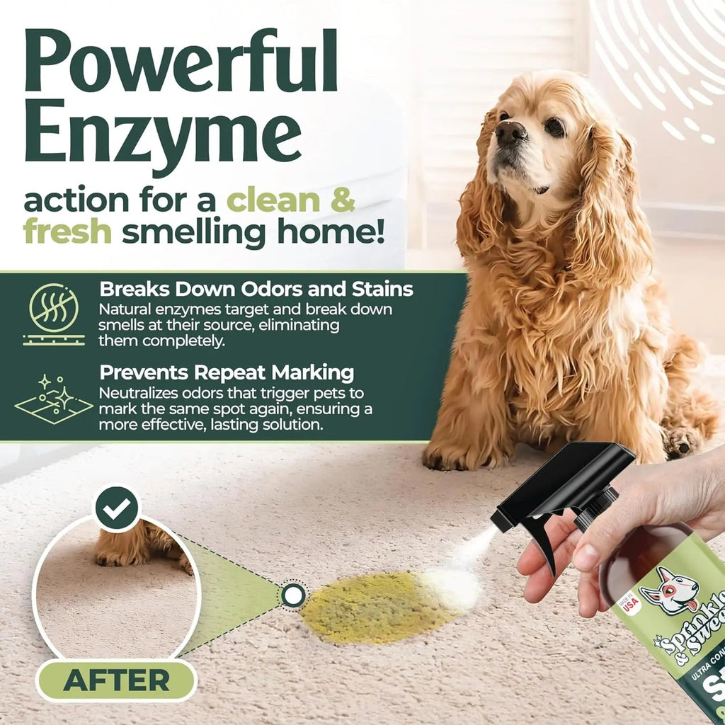 Urine Destroyer Enzyme Cleaner Spray for Pets, 24oz
