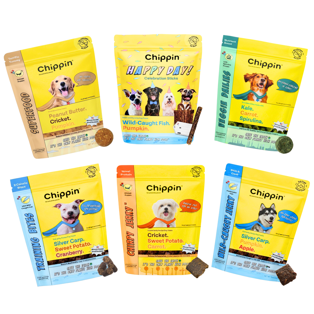 Dog Treat Variety Bundle with Soft Jerky and Crunchy Snacks