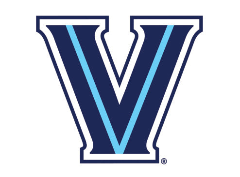 Villanova Will D. Cat Plush Dog Toy with Squeakers