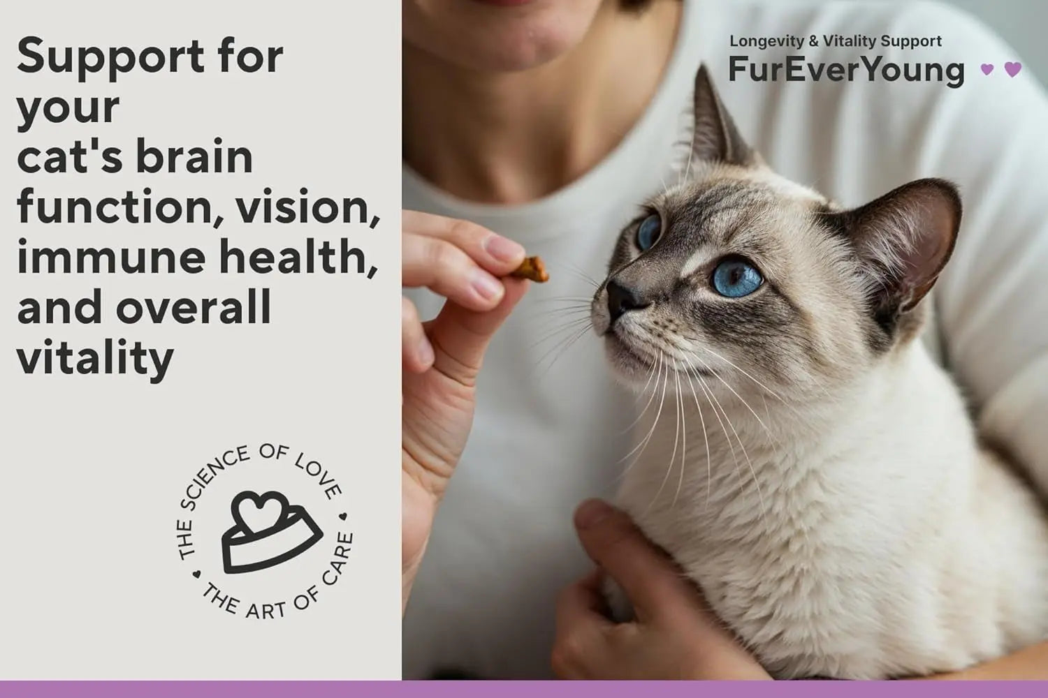 Senior Cat Vitamin Soft Chews for Brain and Vision Support