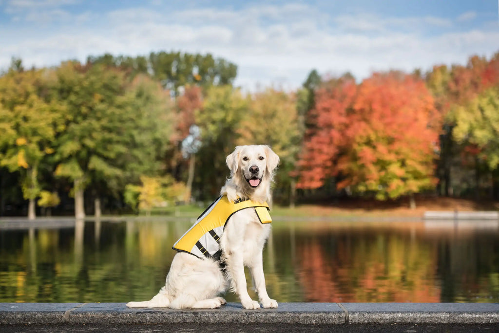 GF PET Dog Life Vest with Chin Flotation and Reflective Details