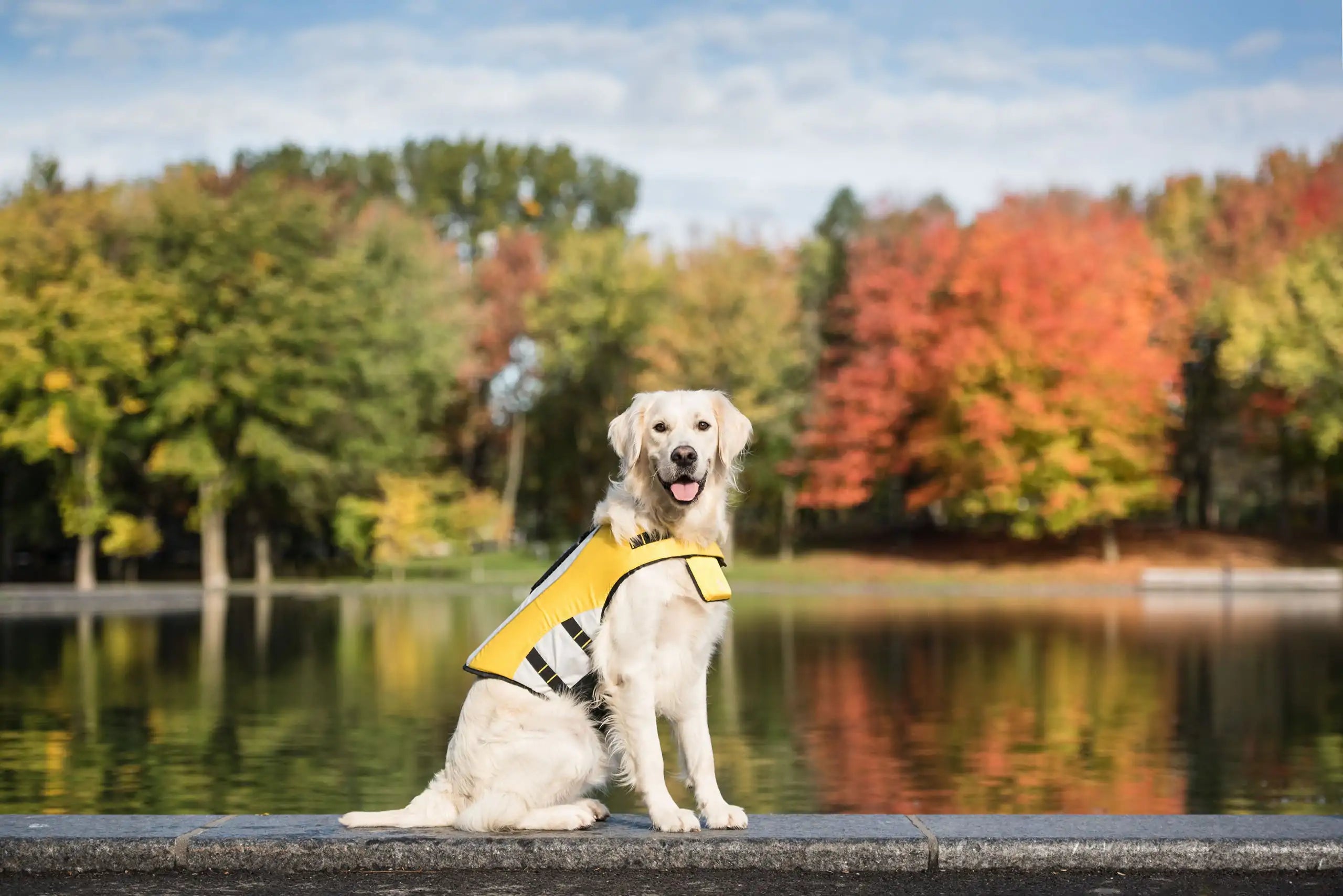GF PET Dog Life Vest with Chin Flotation and Reflective Details