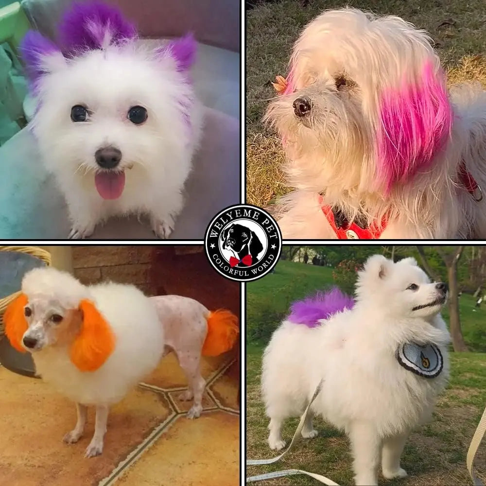 Permanent Dog Hair Dye Kit for Light Coats, Complete Application Set