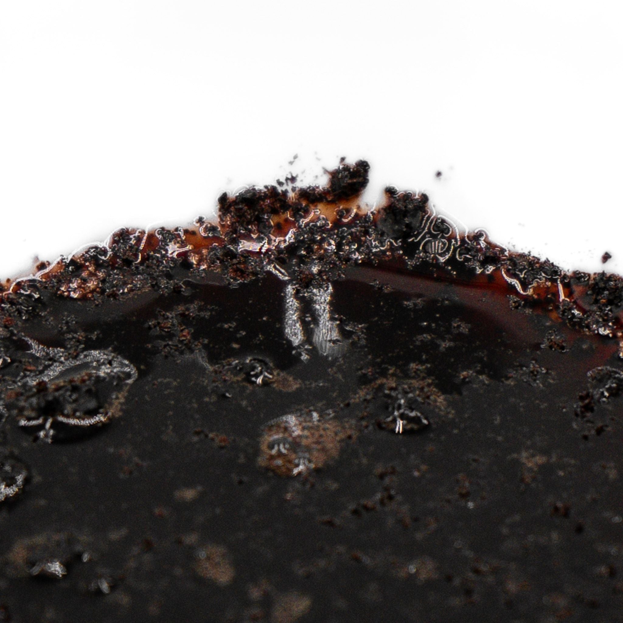 Freeze-Dried Beef Blood Topper for Dogs and Cats
